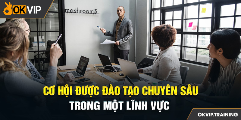 OKVIP luôn chú trọng đến việc đào tạo chuyên sâu cho nhân viên