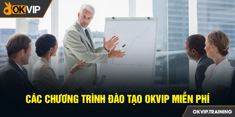 Các chương trình đào tạo OKVIP miễn phí 