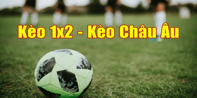 Kèo châu Âu là một trong số những loại hình KEOVIP cung cấp